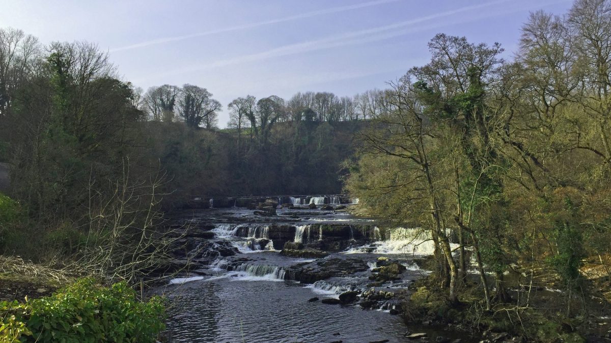 Aysgarth Falls in Wensleydale in the Yorkshire Dales