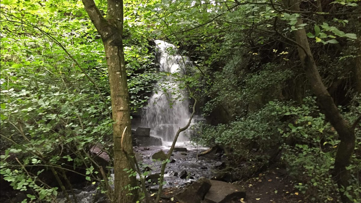 The pretty waterfall at Harmby