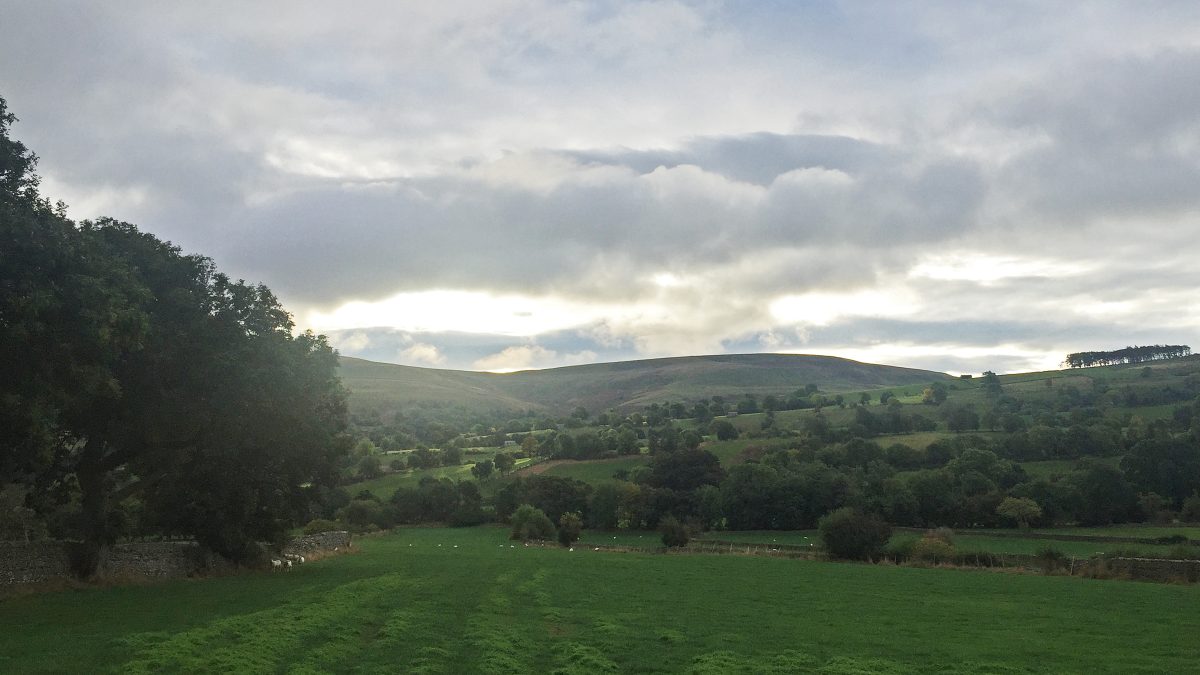 Looking towards West Burton