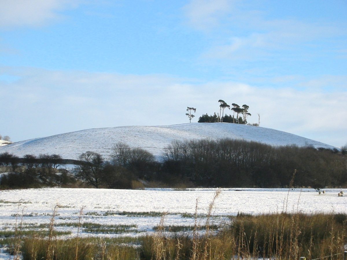 Merry Christmas everyone!