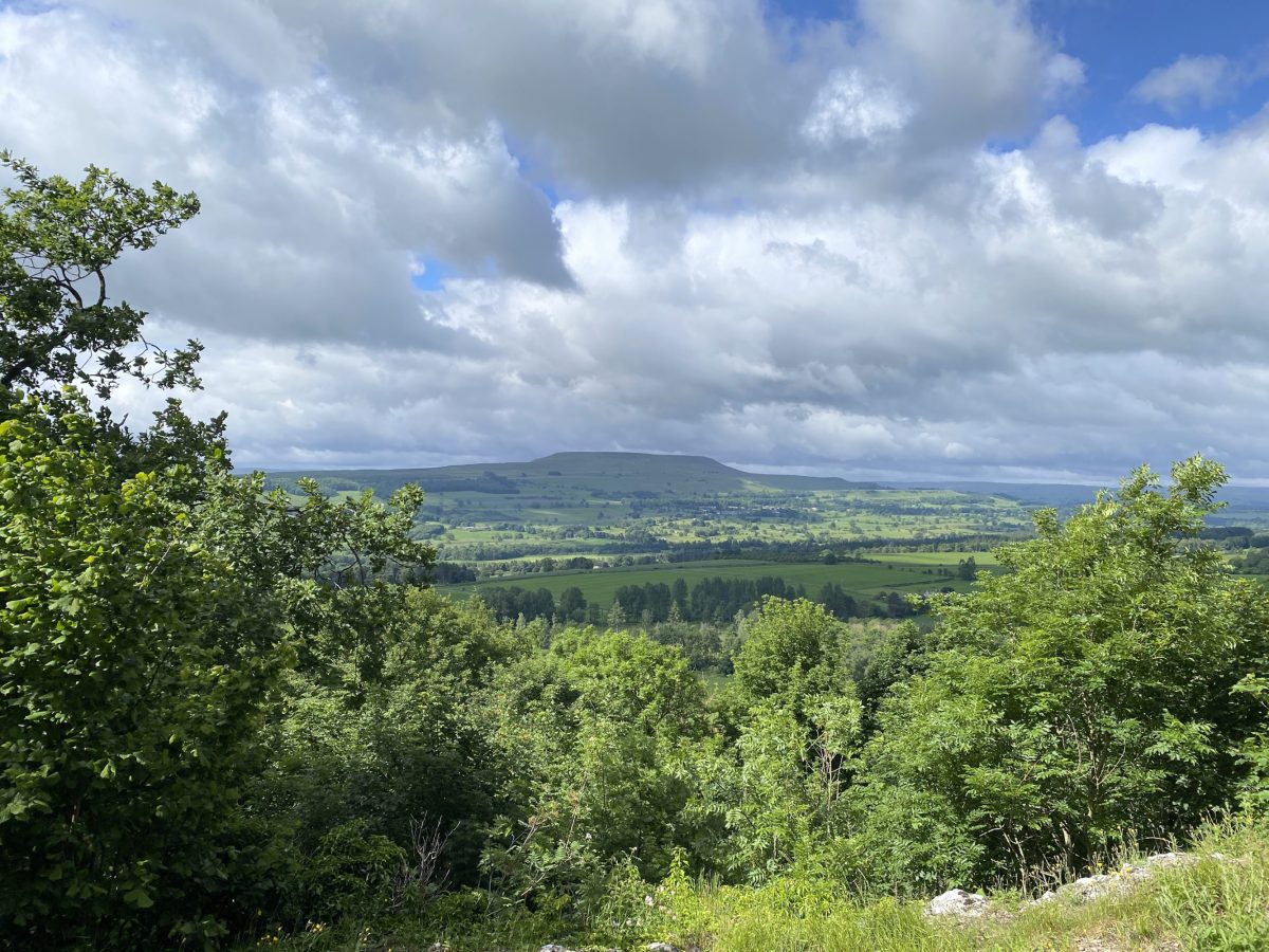 The view from The Shawl near Leyburn