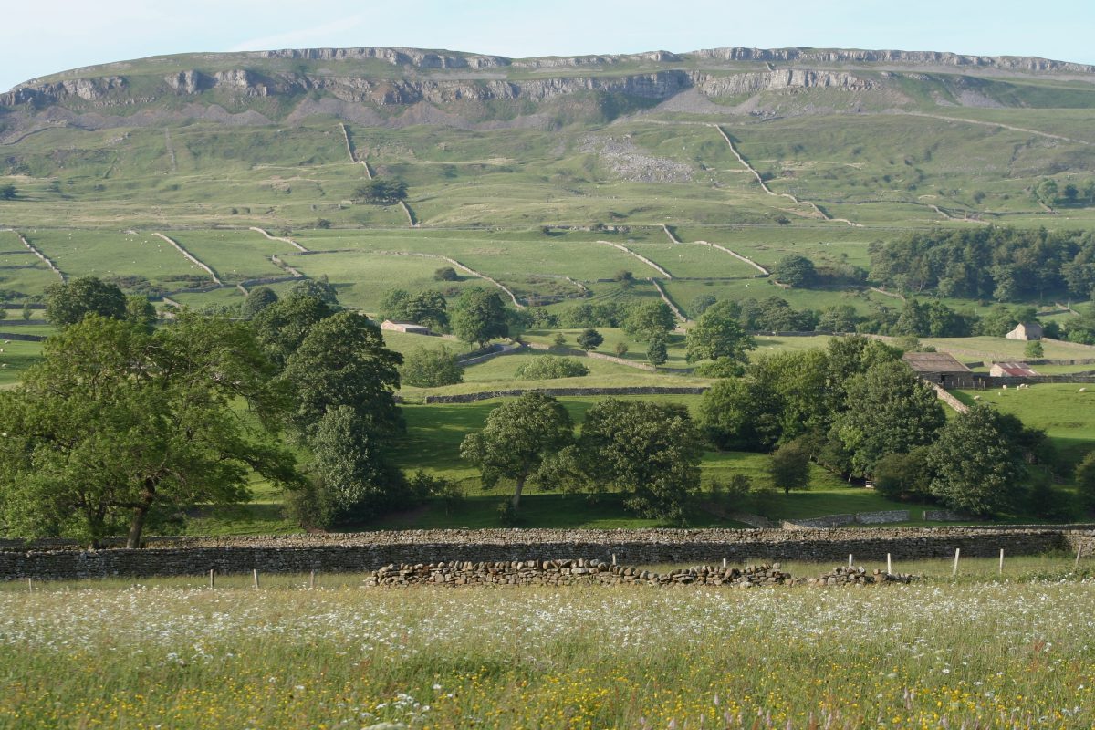 Dry stone walls in the Yorkshire Dales